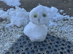 �˂����t�@�[���̎ʐ^1