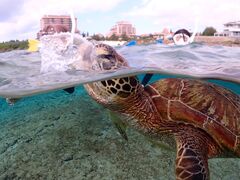 SUNSHINE MARIN �{�Ó��̎ʐ^1