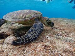 SUNSHINE MARIN �{�Ó��̎ʐ^2