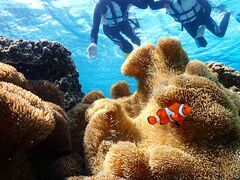 SUNSHINE MARIN �{�Ó��̎ʐ^3