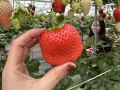 ��낱�є_�����ʂ̎ʐ^1