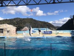 ��������񂳂�̉��c�C�������قւ̓��e�ʐ^1