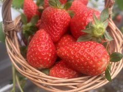 �X��䕉��̎ʐ^1