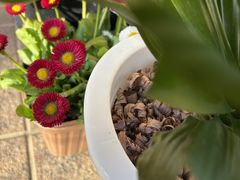 �����̎ʐ^1