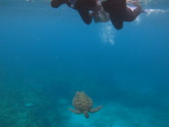 ����A�N�A�}�����̎ʐ^2