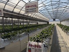 �ӂ�����t�@�[���̎ʐ^2