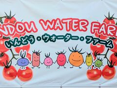 ����ǂ��E�E�H�[�^�[�E�t�@�[���̎ʐ^1