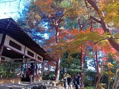 都立殿ヶ谷戸庭園】アクセス・営業時間・料金情報 - じゃらんnet