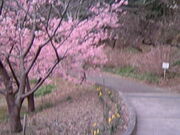 �T���v������̃��f�B�A���Ԃ̋u�����̓��e�ʐ^3