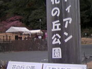 �T���v������̃��f�B�A���Ԃ̋u�����̓��e�ʐ^5