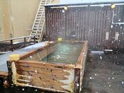 60��̃X�m�[�{�[�h�������񂳂�̂قĂ�؂̉��̓��e�ʐ^1