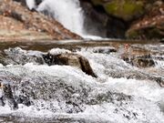 �Ȃ������̍]���c�̑�̓��e�ʐ^4