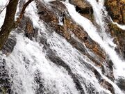 �Ȃ������̍]���c�̑�̓��e�ʐ^5