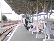 �T���v������̋g���w�̓��e�ʐ^8