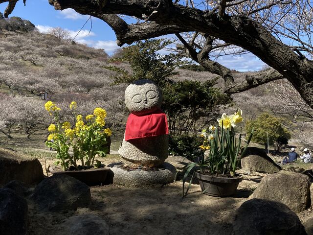 ���傱���Ƃ��n���l
�����ˁI_�����R�~��