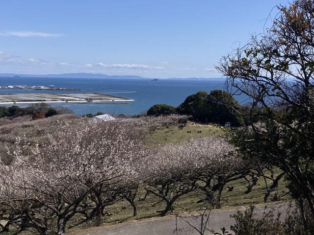 �C��������_�����R�~��