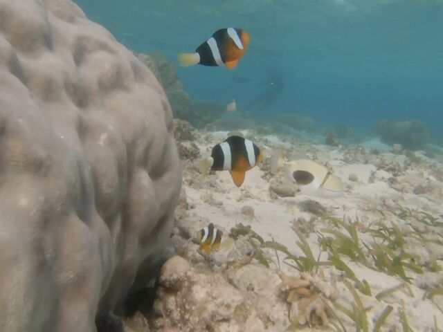 �N�}�m�~_ONE MILE