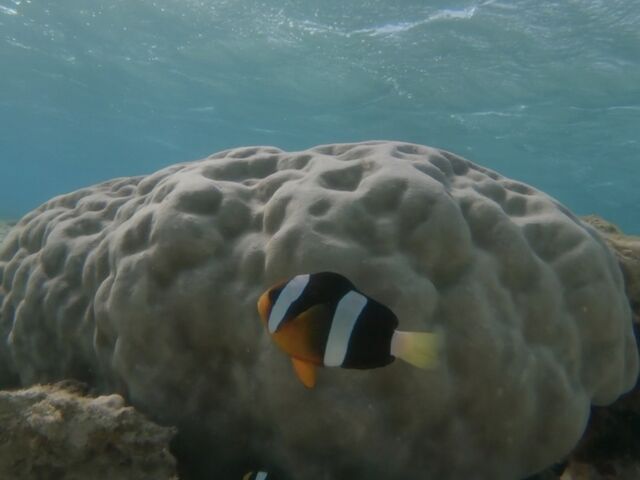 �N�}�m�~_ONE MILE