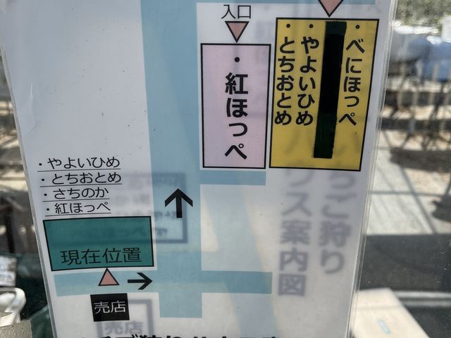 �n�E�X�̏ꏊ�ƕi��_�������n�E�X�@�ɓ����|