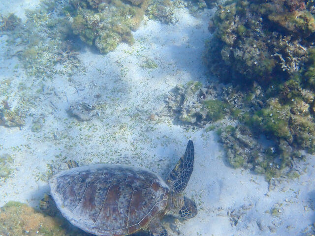 �D��ɂ��悮�A�I�E�~�K��_�_�C�u�Z���^�[OKKY