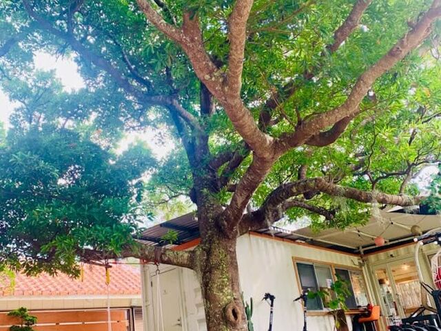 ���Ƃ����Ă����͋C���ǂ��Ă��X�X��_MAACO CAFE