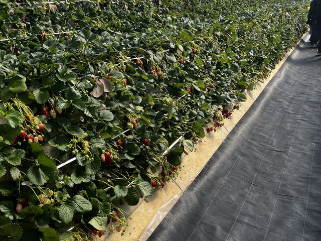 �L�X�I_���ǉ�