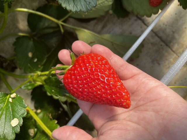 �傫���I_���ǉ�