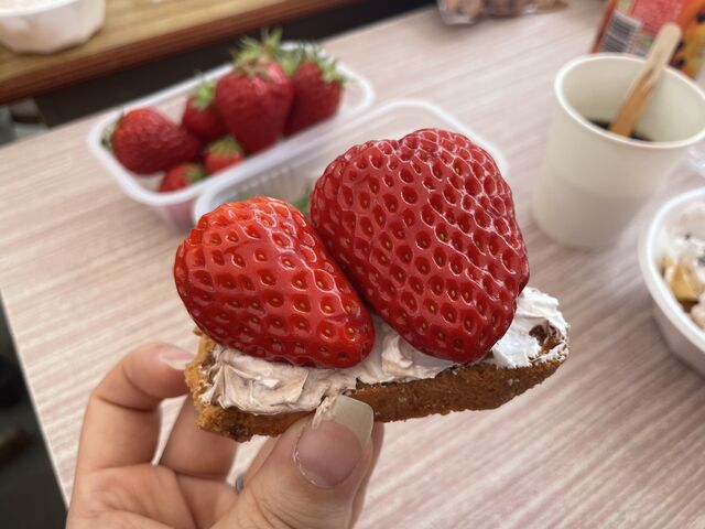 ���������X�N_���������z�C��