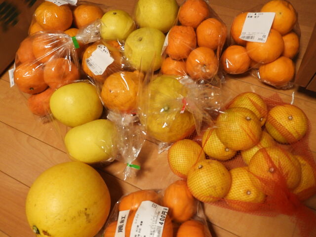 10��ނ̊��k ���z ��S��~_���̉w ���z