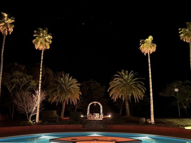 ��̕��i_��]�ˉ��򕨌�Premium ���C��