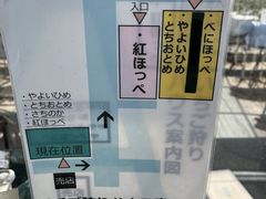 �������n�E�X�@�ɓ����|�̎ʐ^1