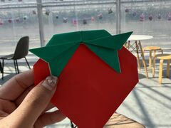 ����(�䂢)�t�@�[���̎ʐ^3