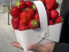 ���d�E�C���O�t�@�[���̎ʐ^1