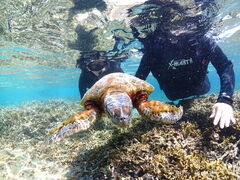 Nami�{�Ó��̎ʐ^1