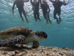 �C�P�����p���_�C�X �{�Ó��̎ʐ^3