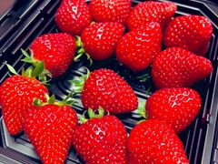 �A�O���݂Ƃ̎ʐ^1