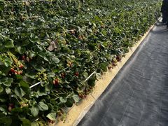 ���ǉ��̎ʐ^1