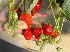 ���ǉ��̎ʐ^4