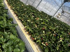 ���ǉ��̎ʐ^5