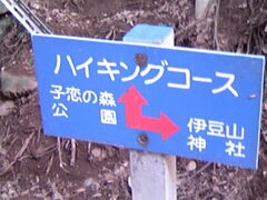 �T���v������̈ɓ��R�q���̐X�����ւ̓��e�ʐ^1