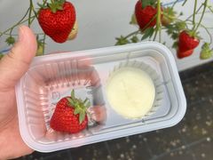 �n�[�x�X�g�K�[�f���̎ʐ^4