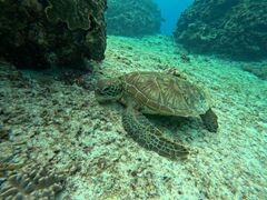 CHURA�{�Ó��̎ʐ^1