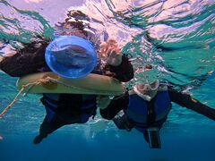 CHURA�{�Ó��̎ʐ^2