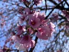 �g������̔M�C�T���r�[�`�ւ̓��e�ʐ^1