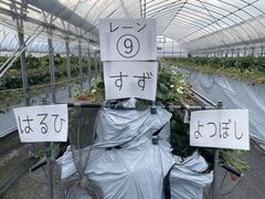 �������񂿂��ނ�̎ʐ^2