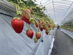 �������񂿂��ނ�̎ʐ^3