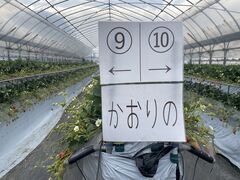 �������񂿂��ނ�̎ʐ^4