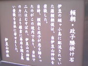 �T���v������̔ʎ�@�i�É����M�C�s�j�̓��e�ʐ^5