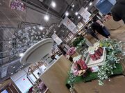 �g������̂��ڂ蓒�͌��X�C�[�c�t�@�N�g���[�̓��e�ʐ^2