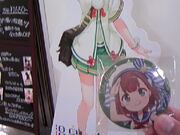 �T���v������̈ɓ������S���M�C�w�O�ē����̓��e�ʐ^1